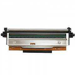 Печатающая головка 203 dpi для принтера АТОЛ TT621 в Вологде